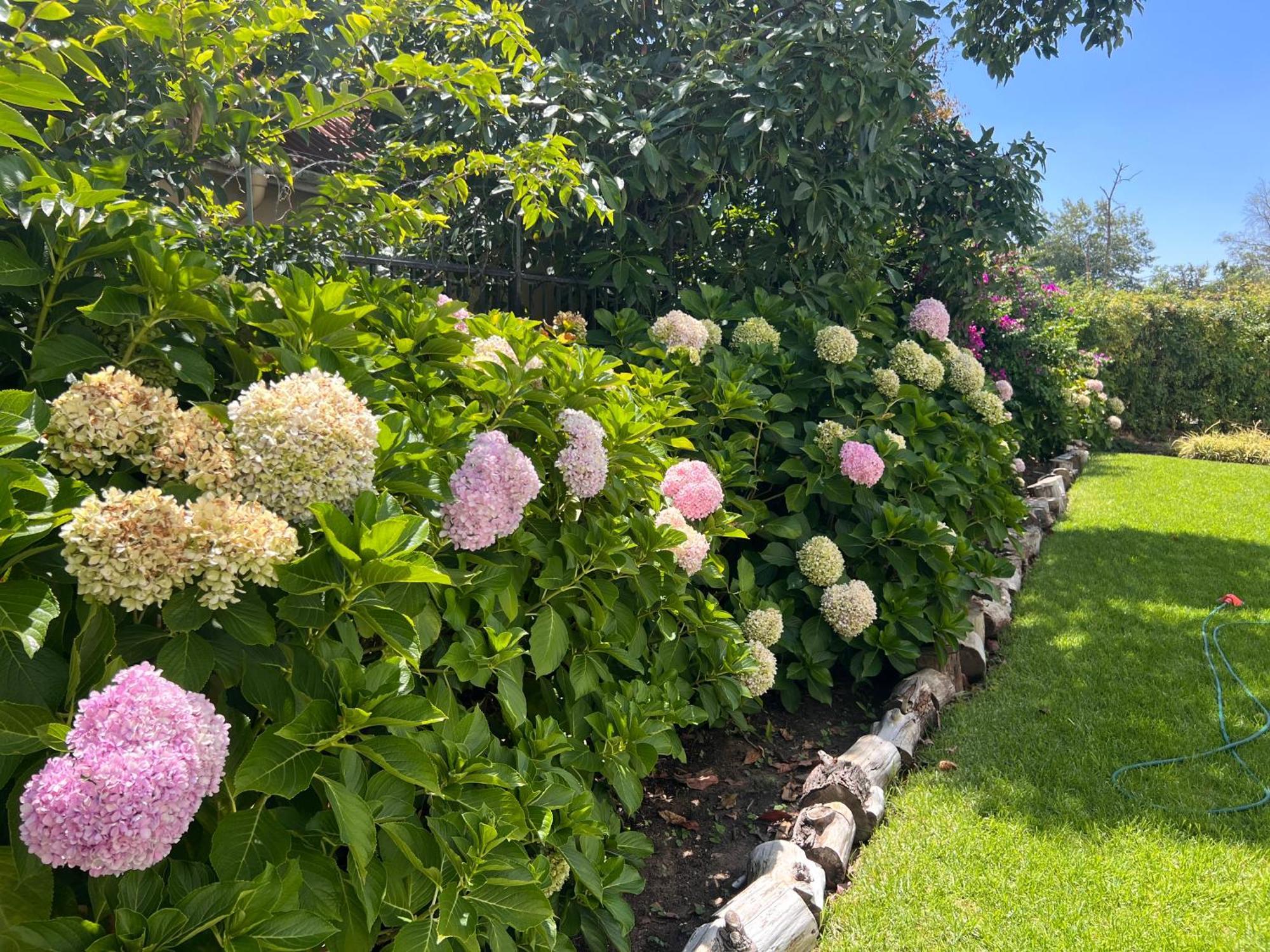 Luxery Gem In Stellenbosch公寓 外观 照片